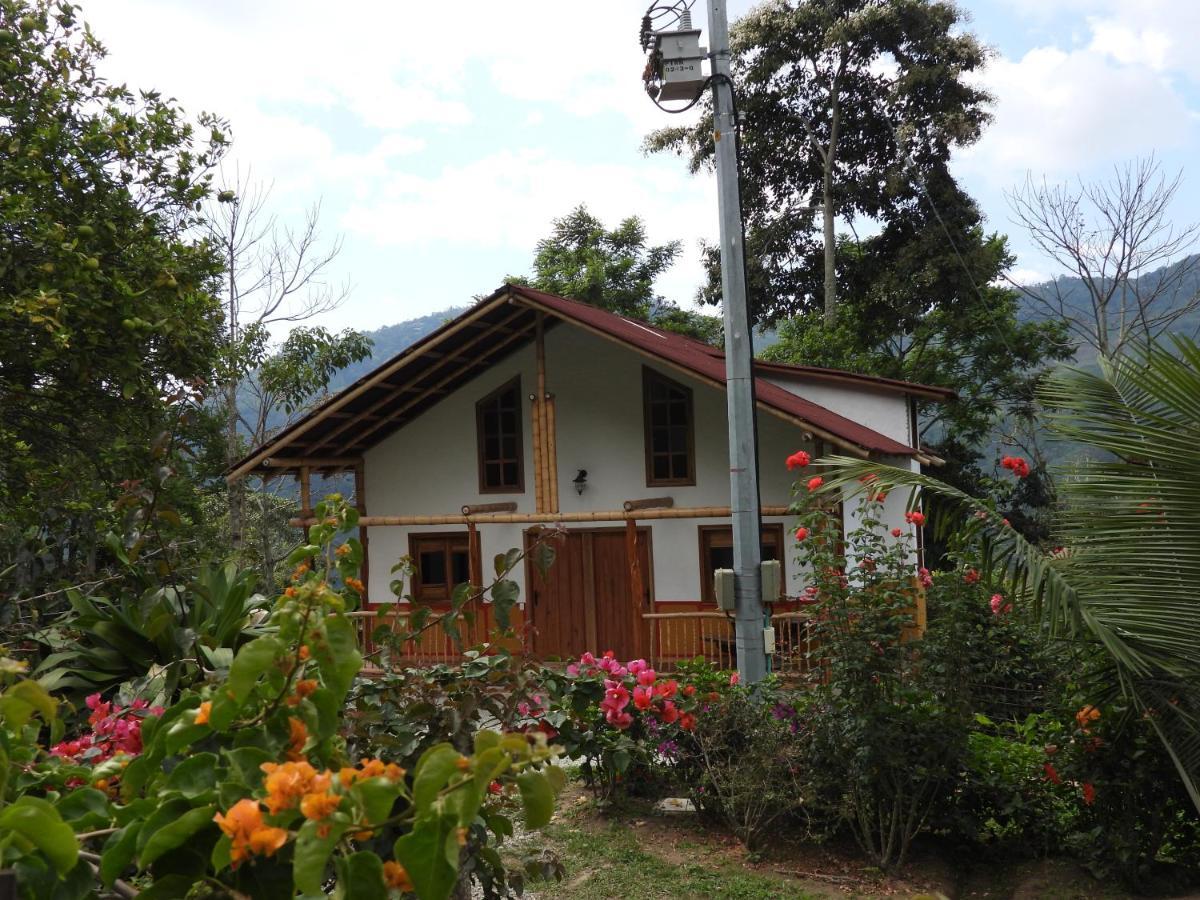 Gasthaus Finca Tradicional El Otono Pijao Exterior foto